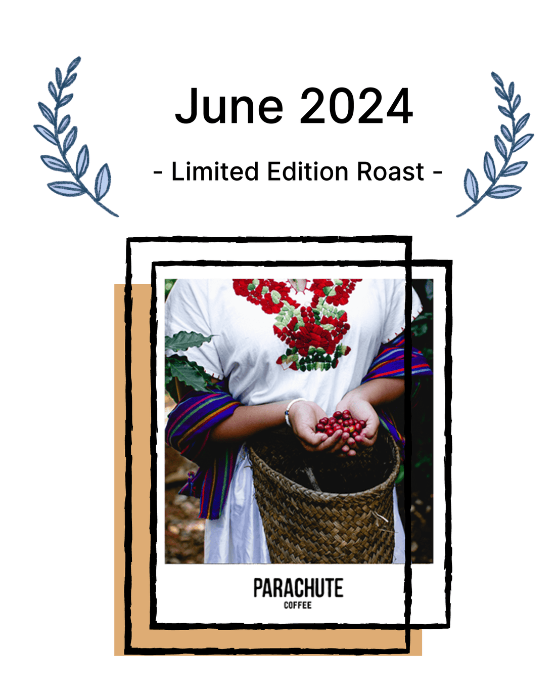 Parachute Coffee Limited Edition Roast for June 2024