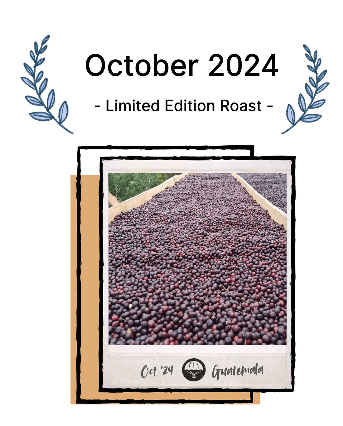 October 2024 | Guatemala Quiche