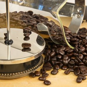 close up view of whole coffee beans spilling out of a french press to show what coffee for french press