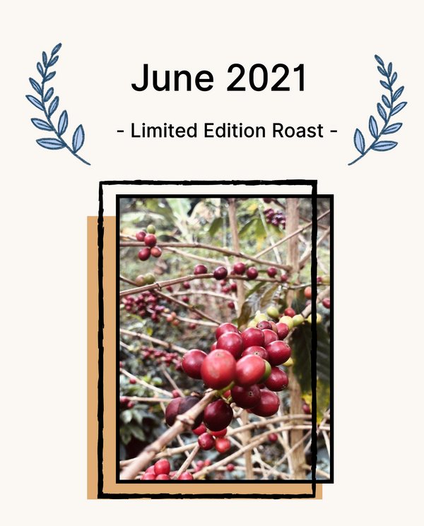 June 2021 Limited Edition Roast